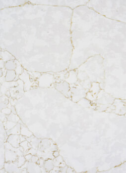 R4050 Detail 2